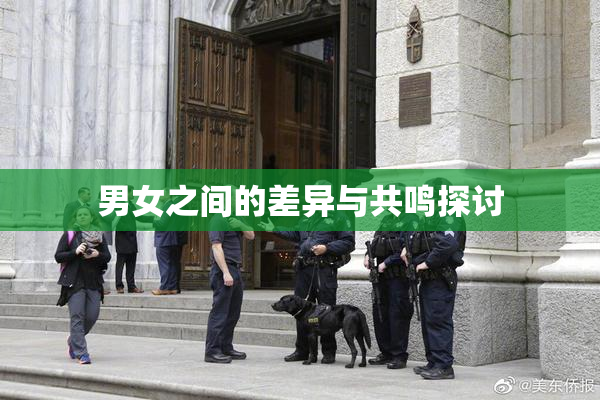 男女之间的差异与共鸣探讨
