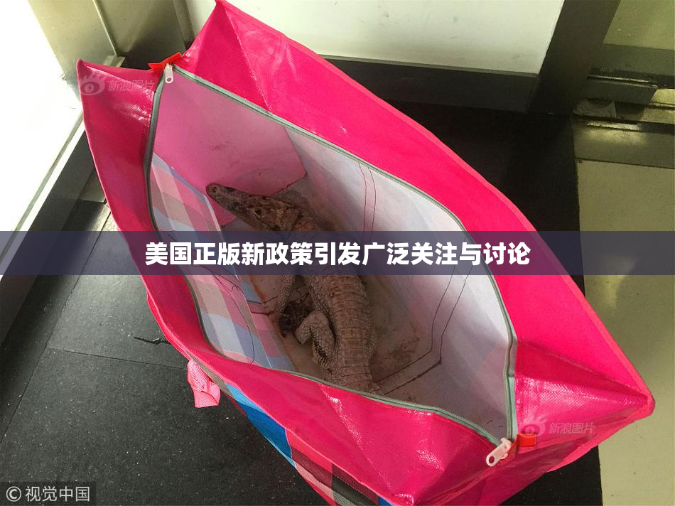 美国正版新政策引发广泛关注与讨论