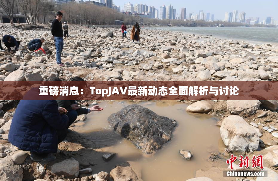 重磅消息：TopJAV最新动态全面解析与讨论