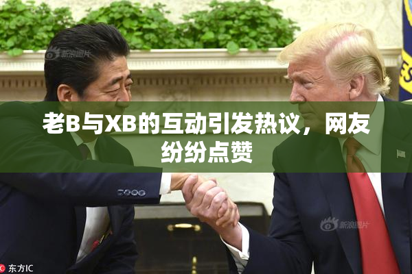 老B与XB的互动引发热议，网友纷纷点赞