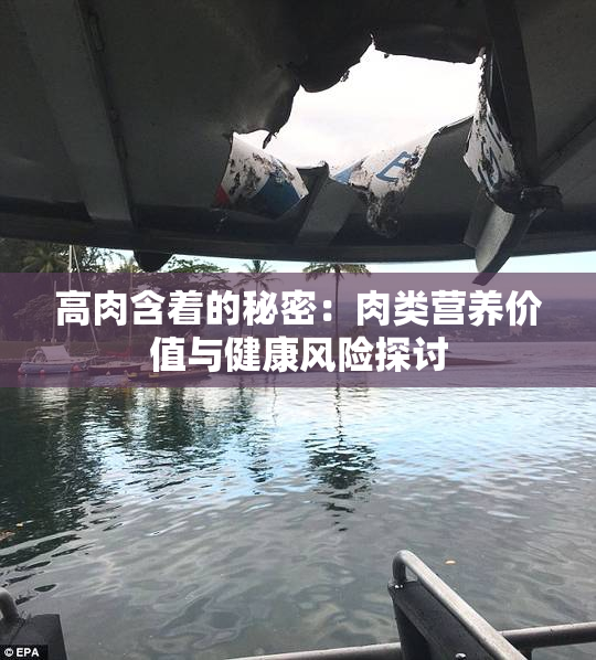 高肉含着的秘密：肉类营养价值与健康风险探讨