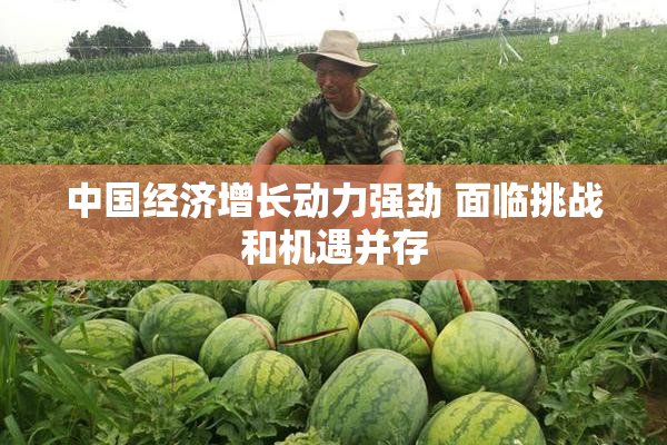中国经济增长动力强劲 面临挑战和机遇并存