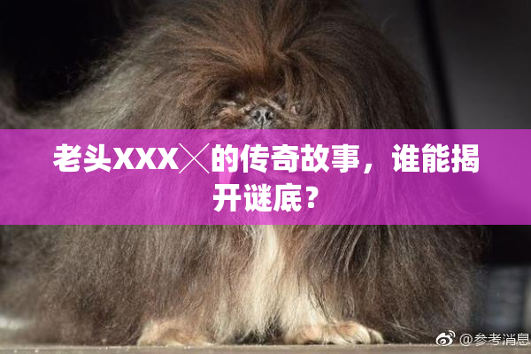 老头XXX╳的传奇故事，谁能揭开谜底？
