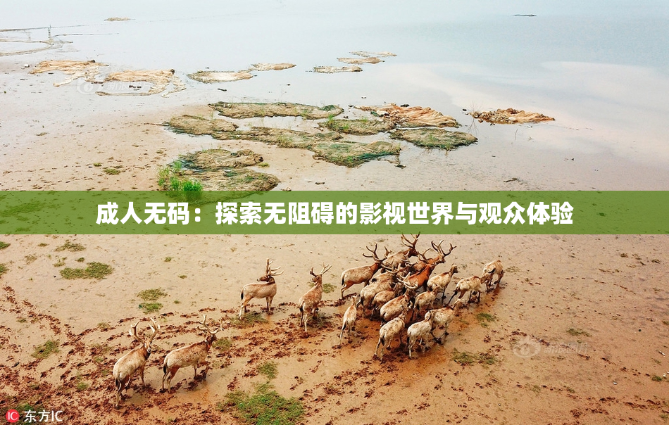 成人无码：探索无阻碍的影视世界与观众体验
