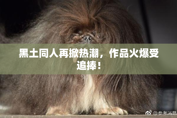黑土同人再掀热潮，作品火爆受追捧！