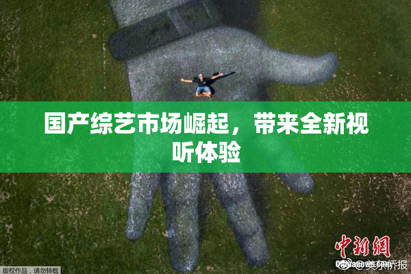国产综艺市场崛起，带来全新视听体验