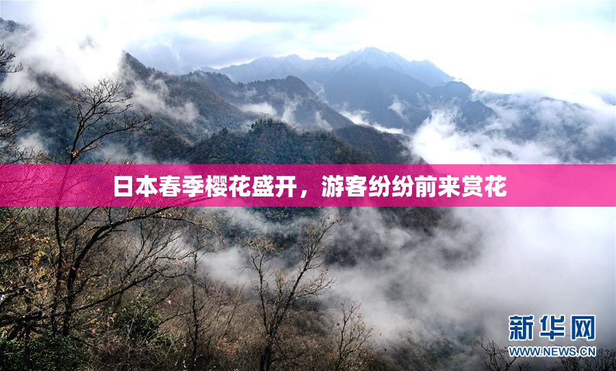 日本春季樱花盛开，游客纷纷前来赏花