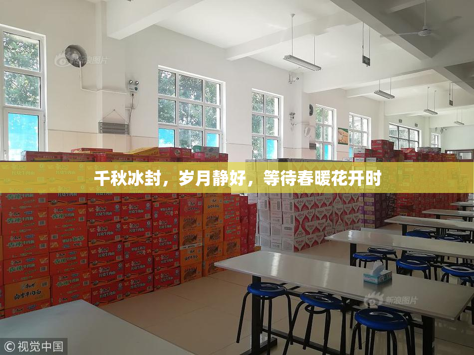 千秋冰封，岁月静好，等待春暖花开时