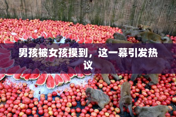 男孩被女孩摸到，这一幕引发热议