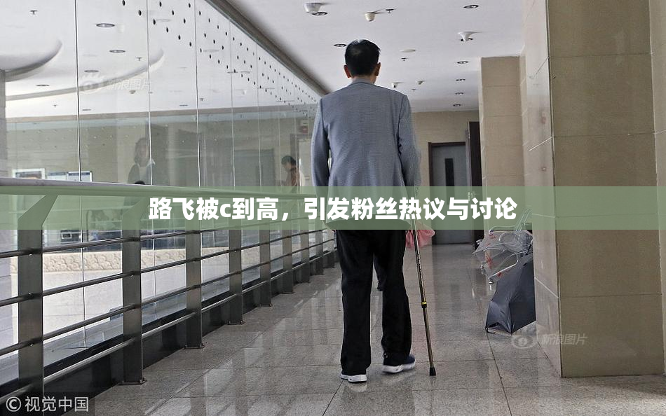 路飞被c到高，引发粉丝热议与讨论