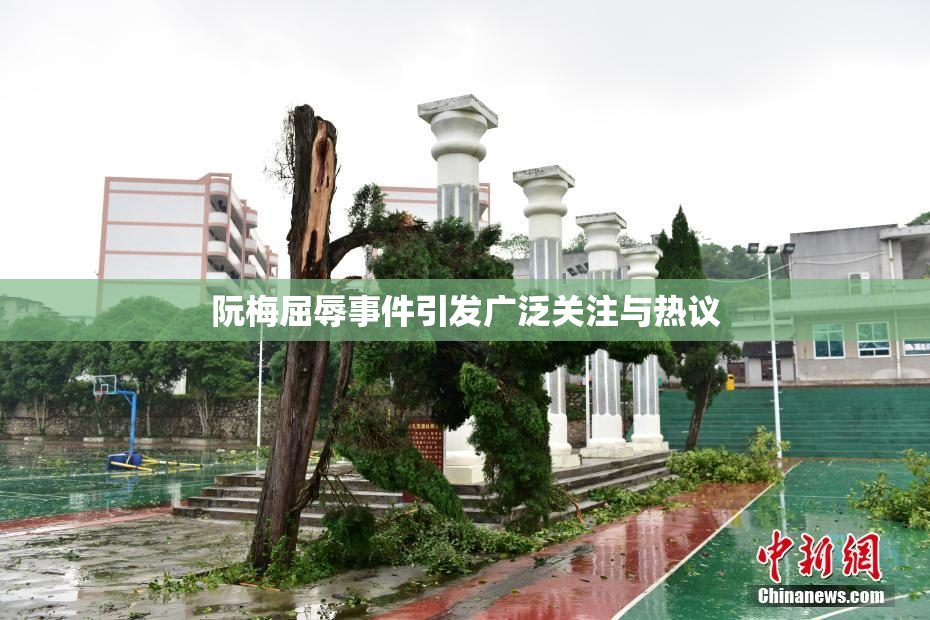 阮梅屈辱事件引发广泛关注与热议