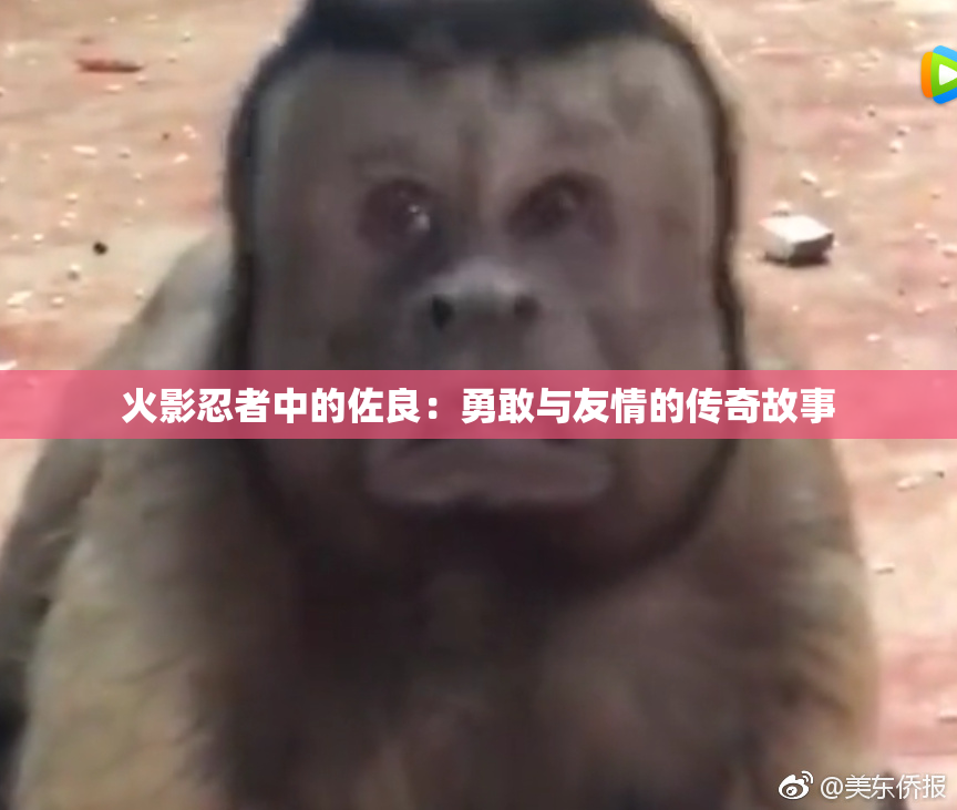 火影忍者中的佐良：勇敢与友情的传奇故事