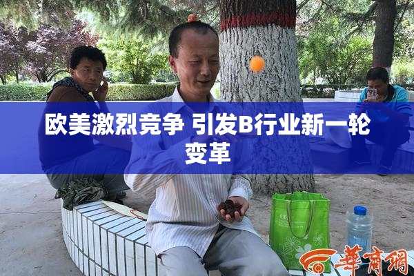 欧美激烈竞争 引发B行业新一轮变革
