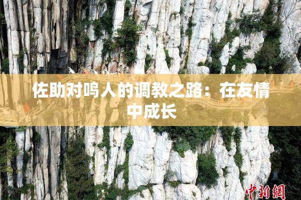 佐助对鸣人的调教之路：在友情中成长