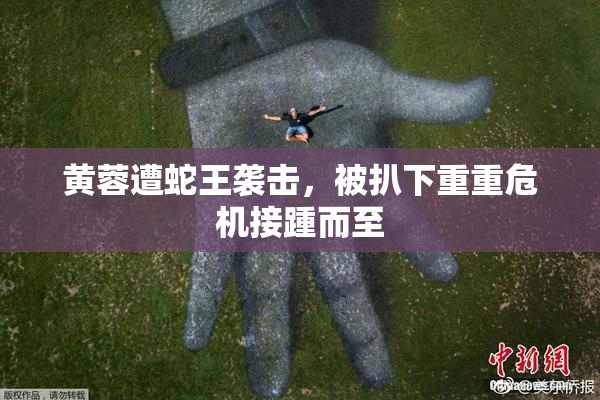 黄蓉遭蛇王袭击，被扒下重重危机接踵而至