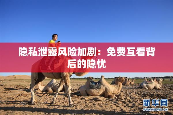 隐私泄露风险加剧：免费互看背后的隐忧