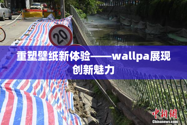 重塑壁纸新体验——wallpa展现创新魅力