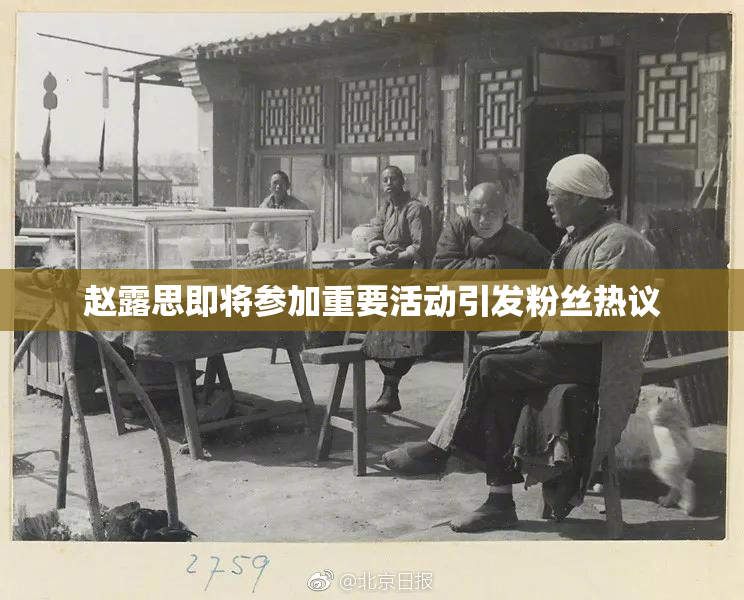 赵露思即将参加重要活动引发粉丝热议
