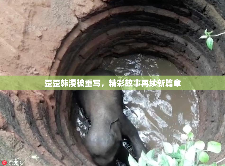 歪歪韩漫被重写，精彩故事再续新篇章