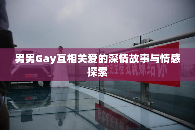 男男Gay互相关爱的深情故事与情感探索