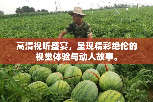 高清视听盛宴，呈现精彩绝伦的视觉体验与动人故事。