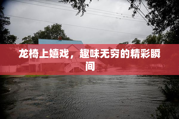 龙椅上嬉戏，趣味无穷的精彩瞬间
