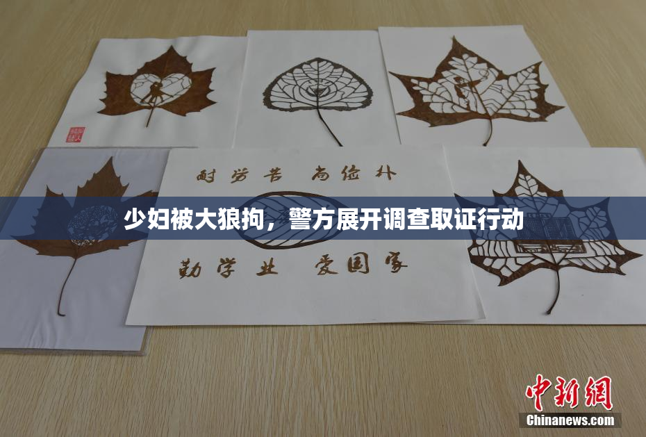 少妇被大狼拘，警方展开调查取证行动