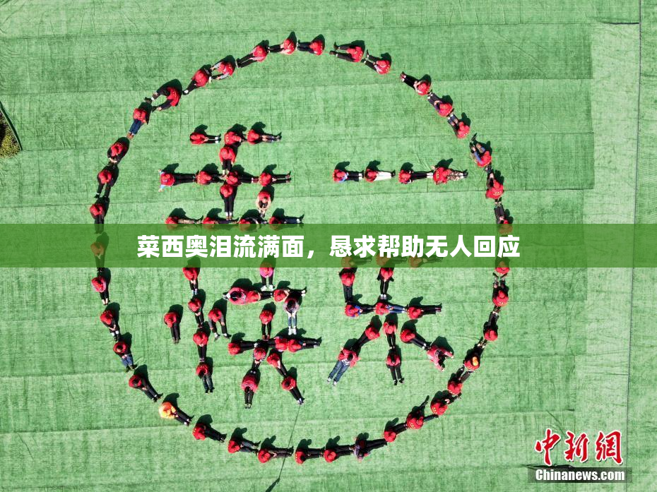 菜西奥泪流满面，恳求帮助无人回应