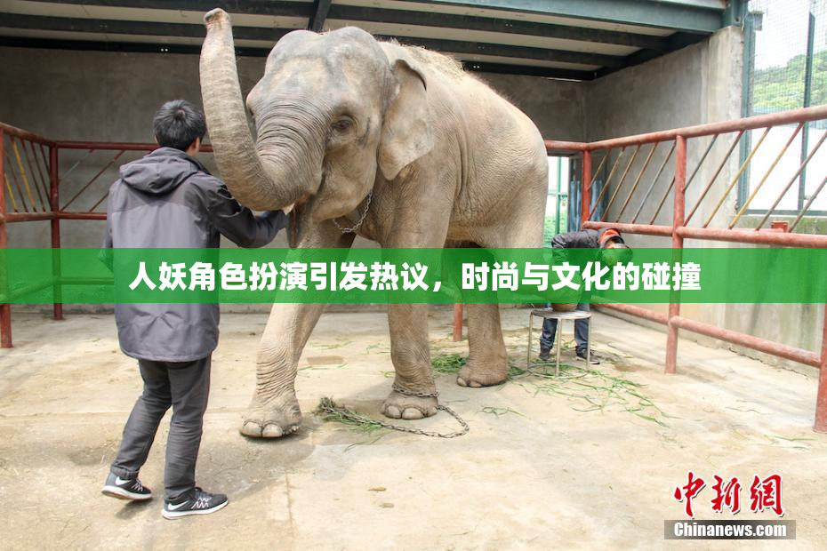 人妖角色扮演引发热议，时尚与文化的碰撞