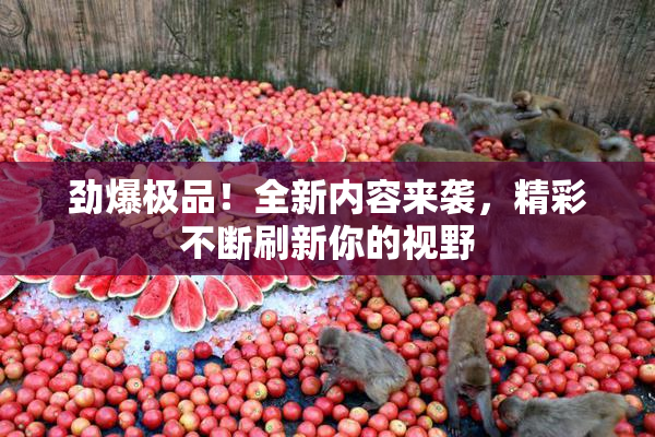 劲爆极品！全新内容来袭，精彩不断刷新你的视野