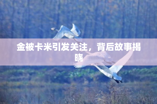 金被卡米引发关注，背后故事揭晓