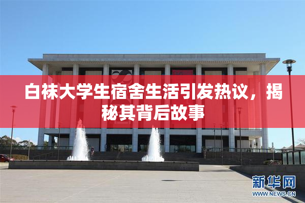 白袜大学生宿舍生活引发热议，揭秘其背后故事
