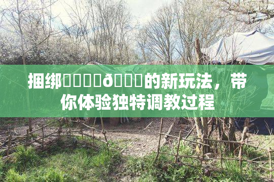 捆绑❌‌❌‌🔞的新玩法，带你体验独特调教过程