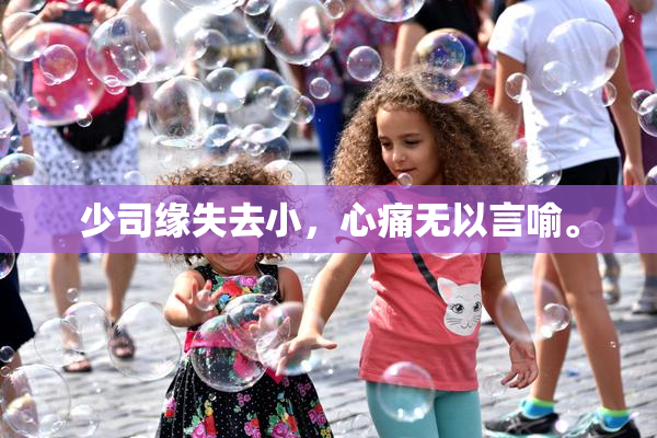 少司缘失去小，心痛无以言喻。