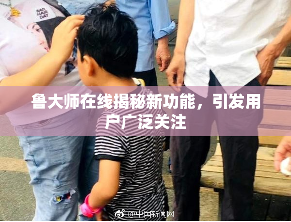 鲁大师在线揭秘新功能，引发用户广泛关注