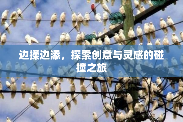 边揉边添，探索创意与灵感的碰撞之旅