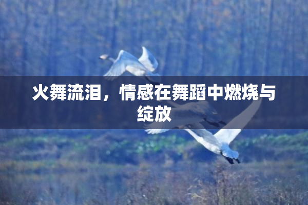 火舞流泪，情感在舞蹈中燃烧与绽放