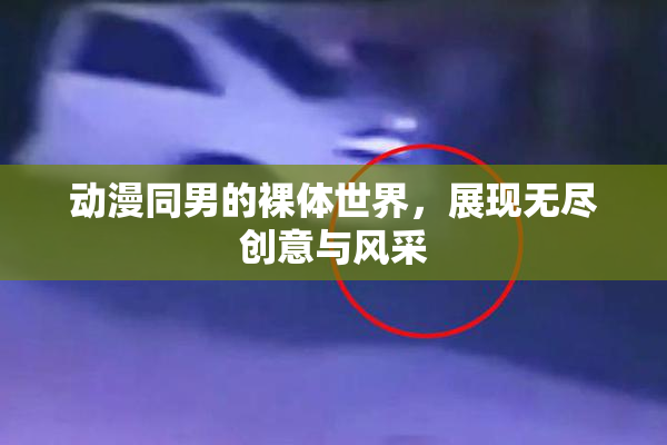 动漫同男的裸体世界，展现无尽创意与风采
