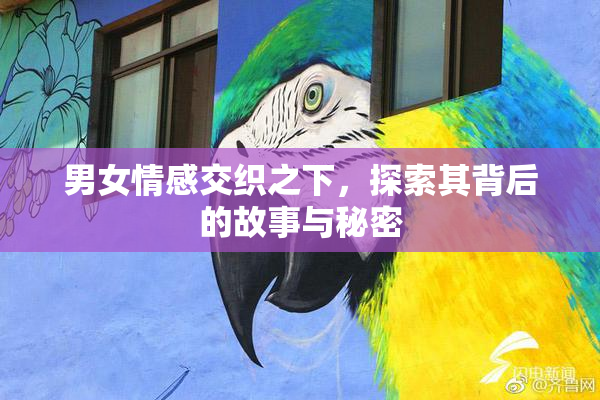男女情感交织之下，探索其背后的故事与秘密