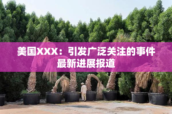 美国XXX：引发广泛关注的事件最新进展报道