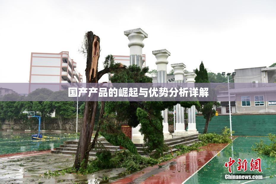 国产产品的崛起与优势分析详解