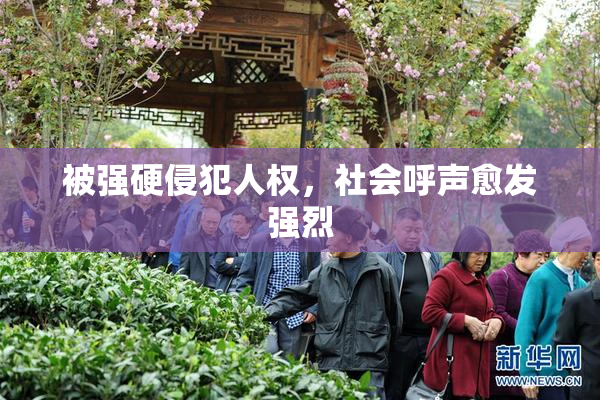 被强硬侵犯人权，社会呼声愈发强烈