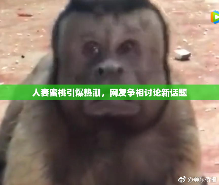 人妻蜜桃引爆热潮，网友争相讨论新话题