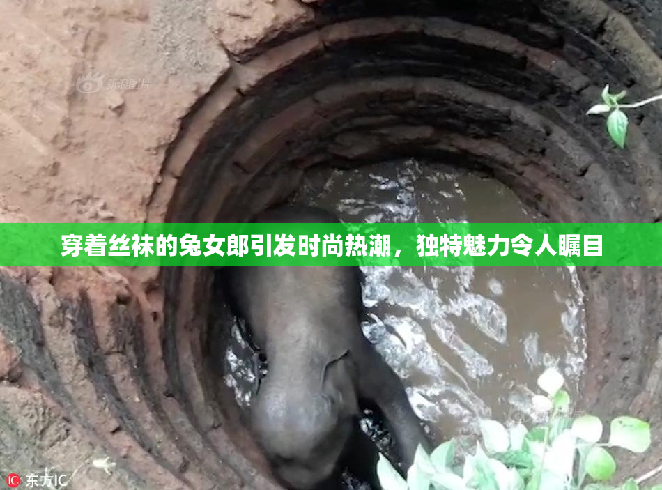 穿着丝袜的兔女郎引发时尚热潮，独特魅力令人瞩目