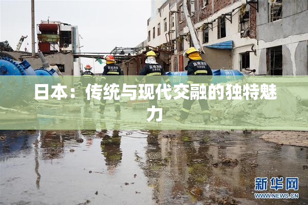 日本：传统与现代交融的独特魅力
