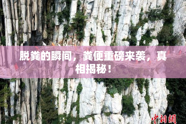 脱粪的瞬间，粪便重磅来袭，真相揭秘！