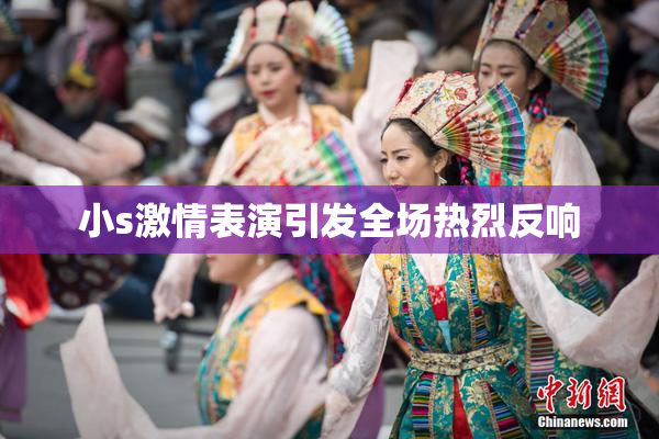 小s激情表演引发全场热烈反响