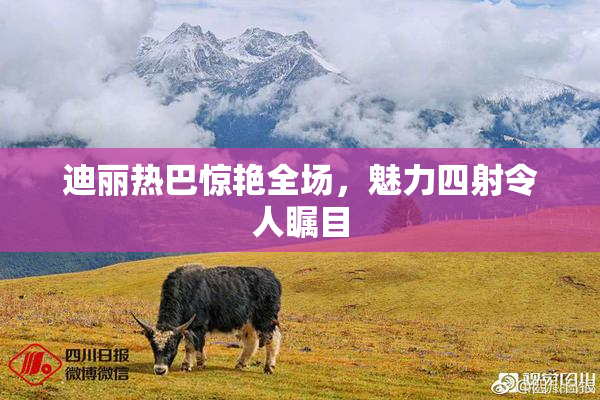 迪丽热巴惊艳全场，魅力四射令人瞩目