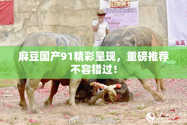 麻豆国产91精彩呈现，重磅推荐不容错过！