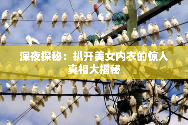 深夜探秘：扒开美女内衣的惊人真相大揭秘